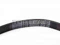 Sinotruk®Quarein -courroies Moteur- Moteur Composant pour Sinotruk Howo WD615SérieMoteur Partie No.：vg2600020258