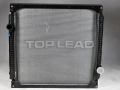 Sinotruk®Quanine -Tank组件（铝） -  Sinotruk Howo WD615系列发动机零件号：WG9725530011的发动机组件